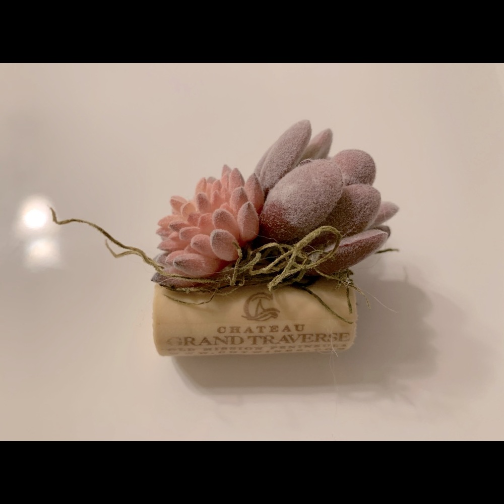 Wine Cork Succulent Magnet